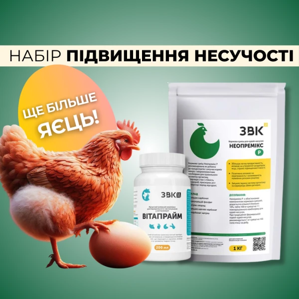 Набір "Підвищення несучості"